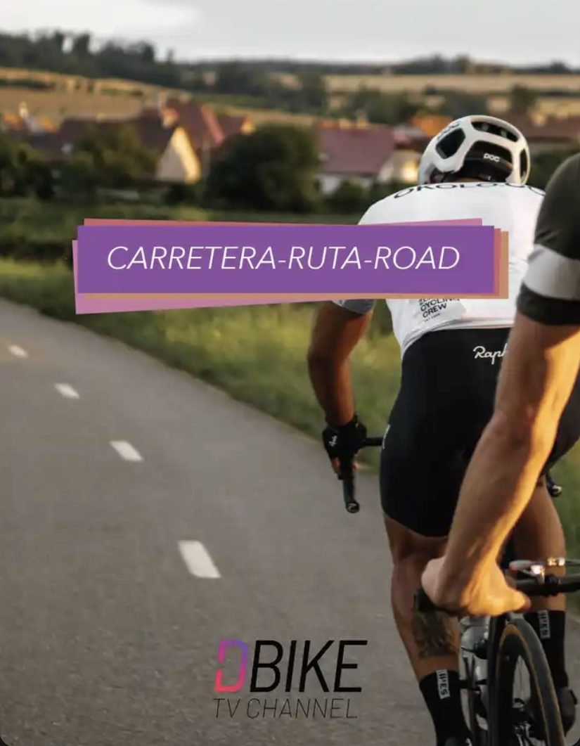 Carretera, ruta y road: dos ciclistas por una carretera junto al campo